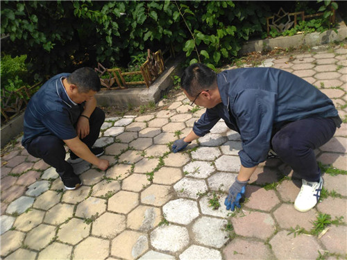 黨員進社區(qū)6 黨員進社區(qū)6