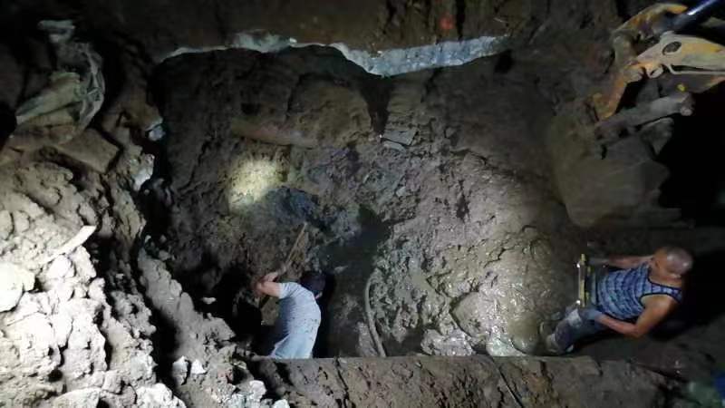 2430370c92916ef4fc3c8fb9a7ddbed